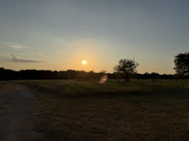 Photo 50