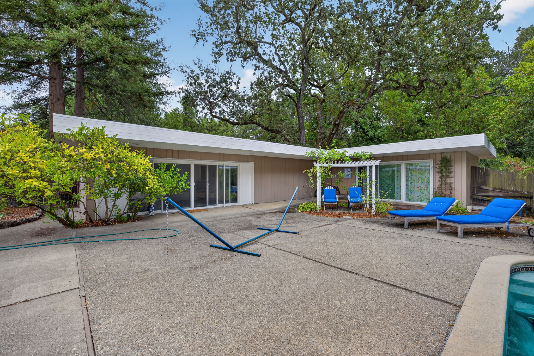  Photo 98