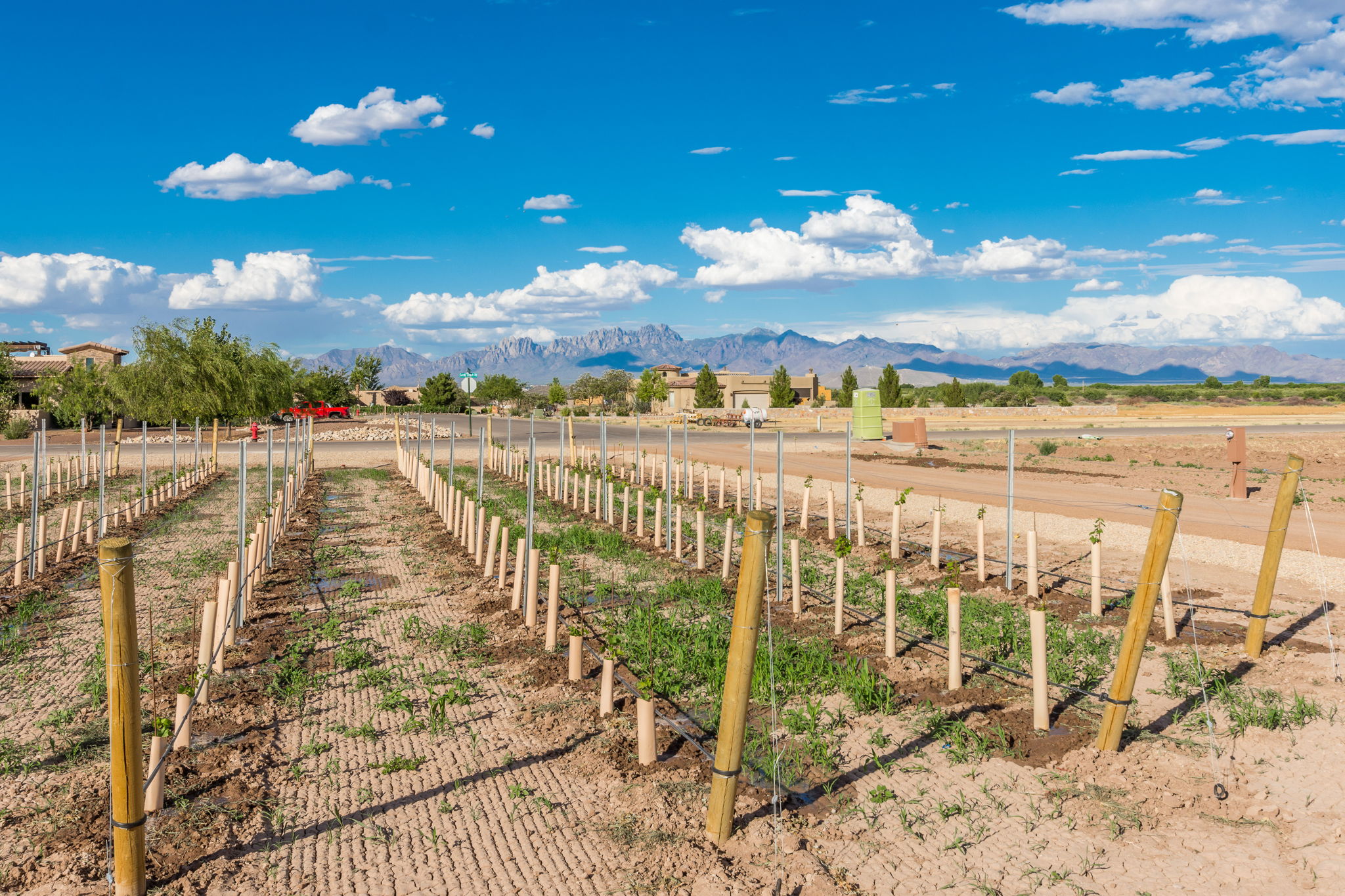  1050 Sandy Beach Rd, Las Cruces, NM 88005, US Photo 9