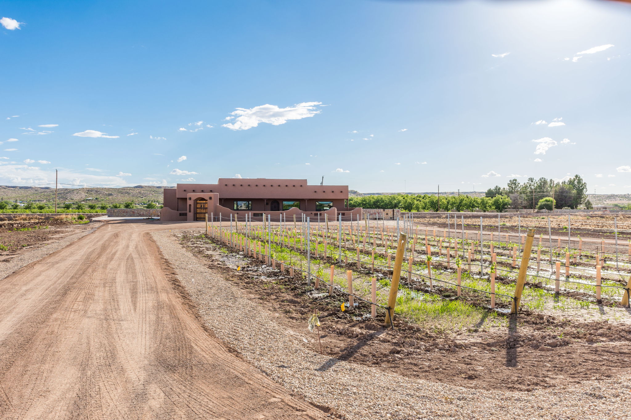  1050 Sandy Beach Rd, Las Cruces, NM 88005, US Photo 6