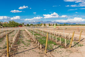  1050 Sandy Beach Rd, Las Cruces, NM 88005, US Photo 8