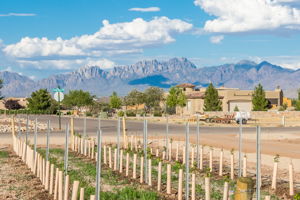  1050 Sandy Beach Rd, Las Cruces, NM 88005, US Photo 9