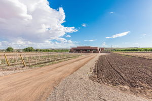  1050 Sandy Beach Rd, Las Cruces, NM 88005, US Photo 6