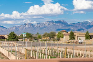  1050 Sandy Beach Rd, Las Cruces, NM 88005, US Photo 15