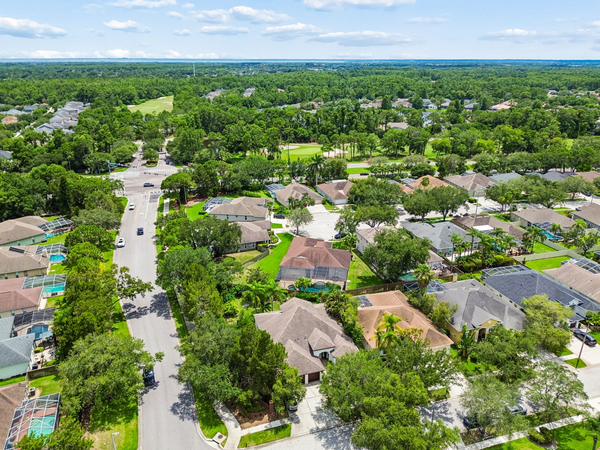 DJI_0556