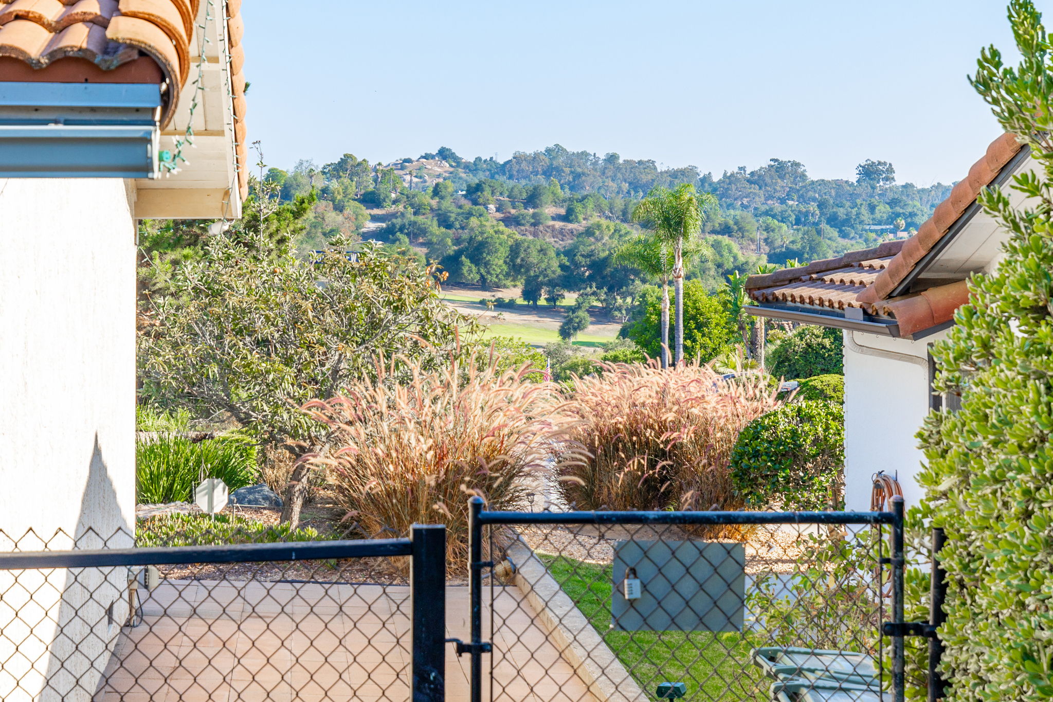  Photo 45