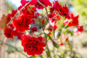  Photo 46