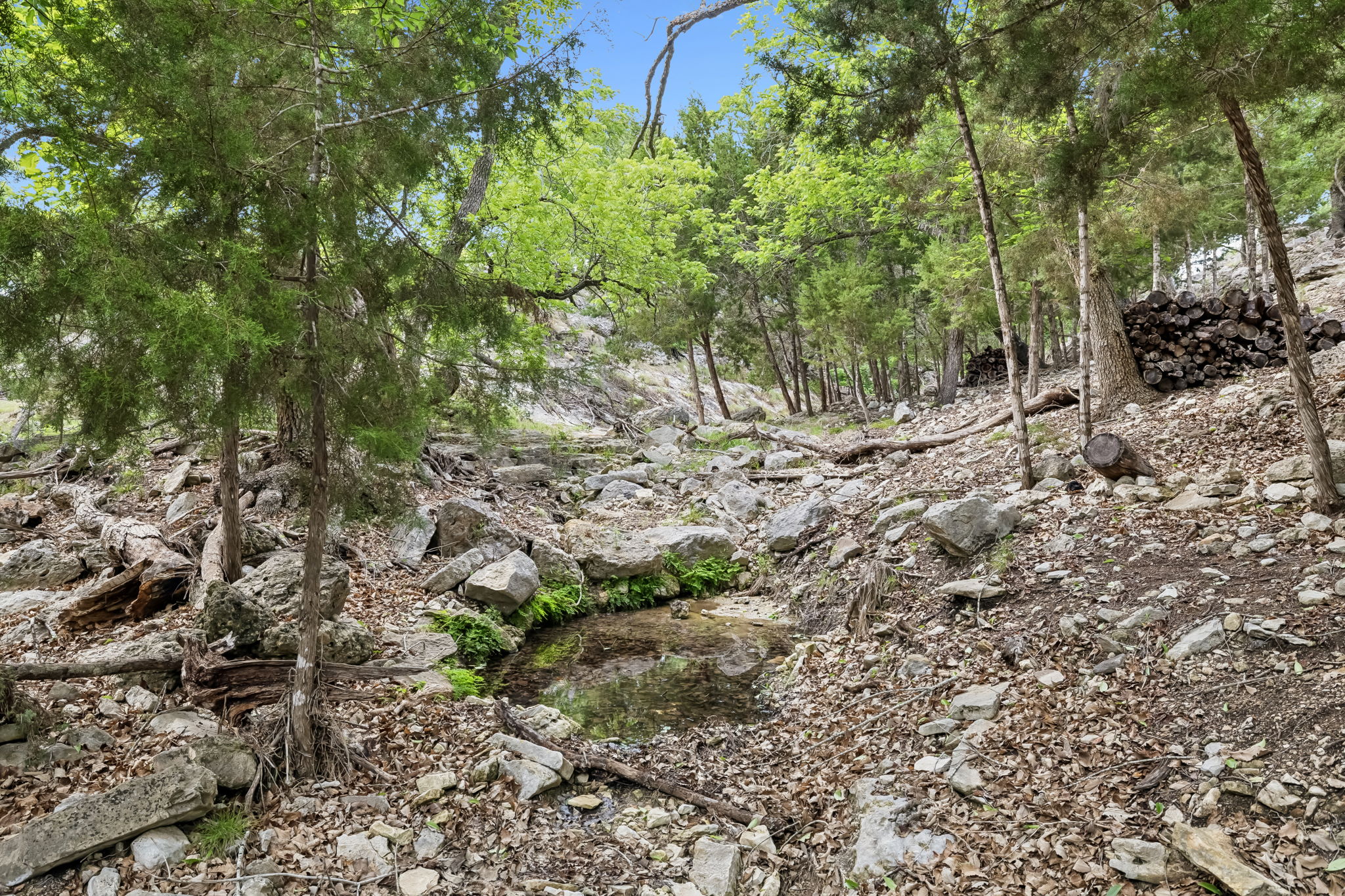  Photo 41