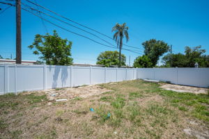 Backyard1