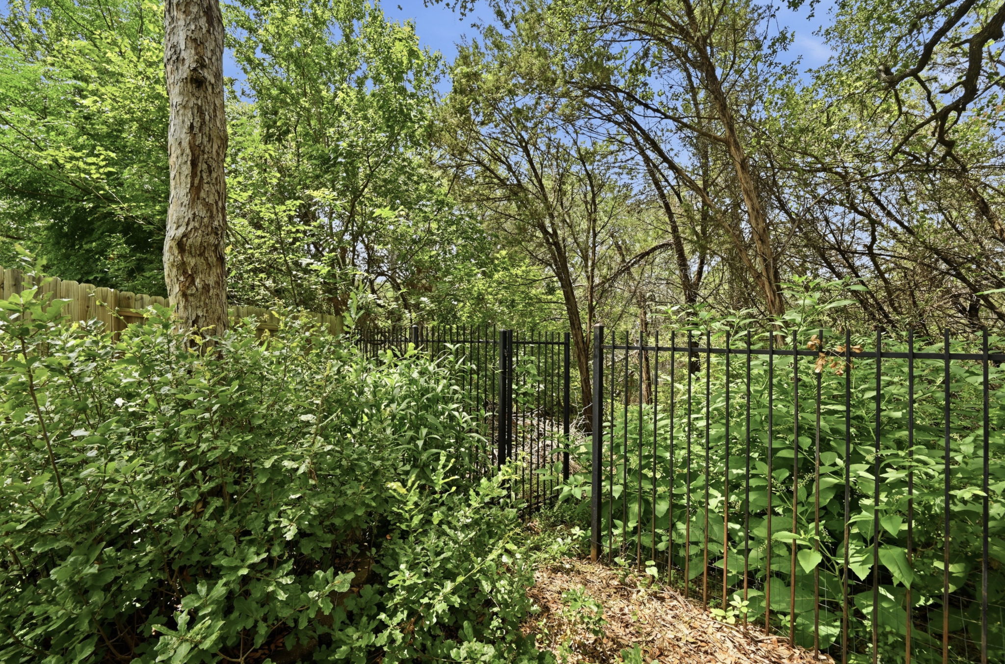 The back leads directly to the trails on Slaughter Creek which also connects to Mary Moore Searight Park -- Over 300 acres of land with facilities for outdoor adventures.