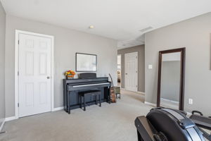 Workout/Music Room
