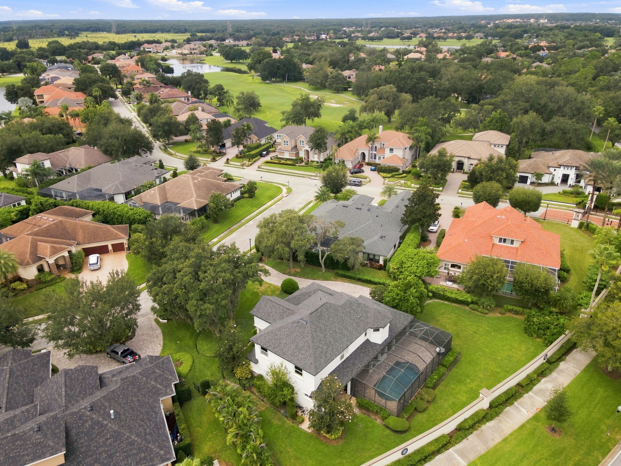 Aerial (17)