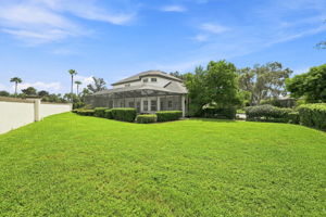 Backyard1