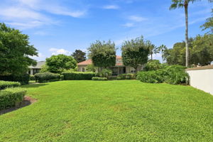 Backyard4