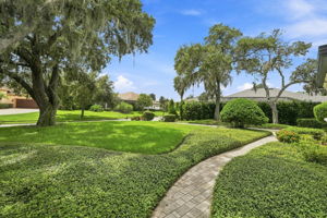 Frontyard