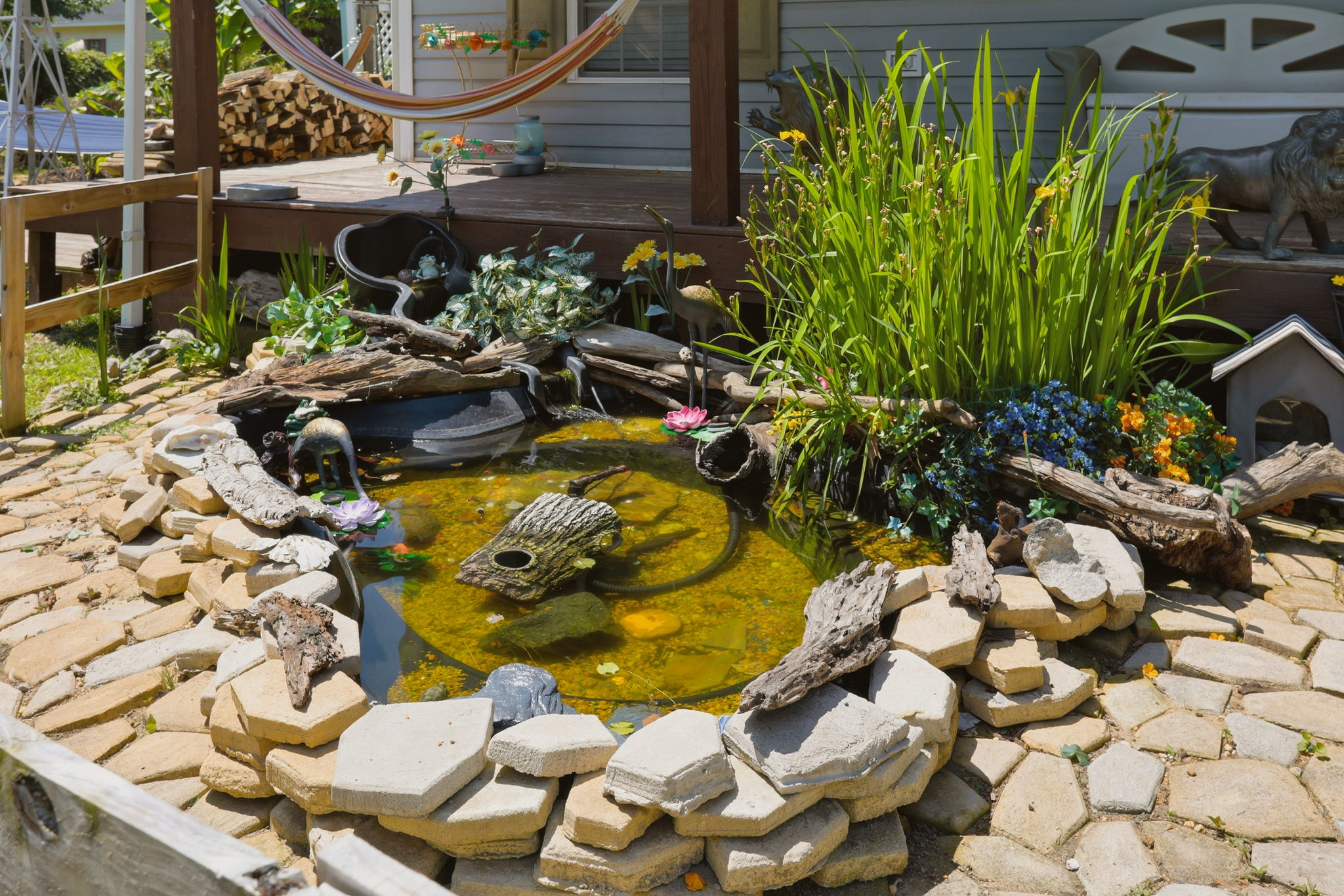 05-Pond