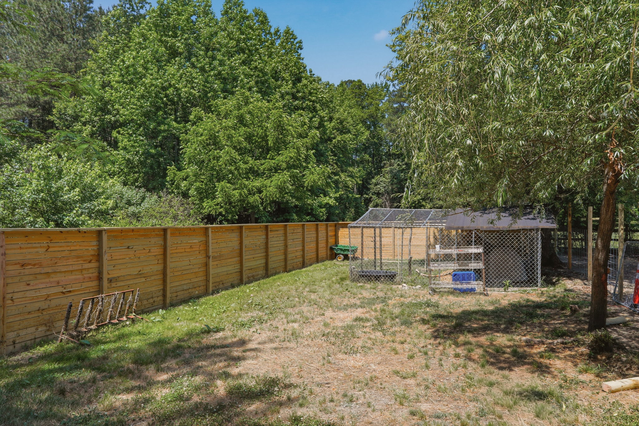 57-Fenced Yard