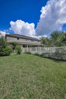 Backyard2