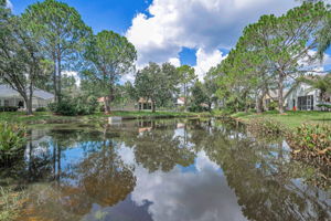 Backyard3 View
