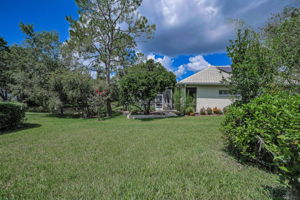 Backyard4