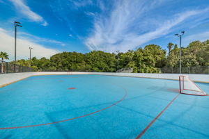 27-Roller Hockey Rink