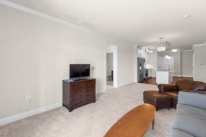 living room-5