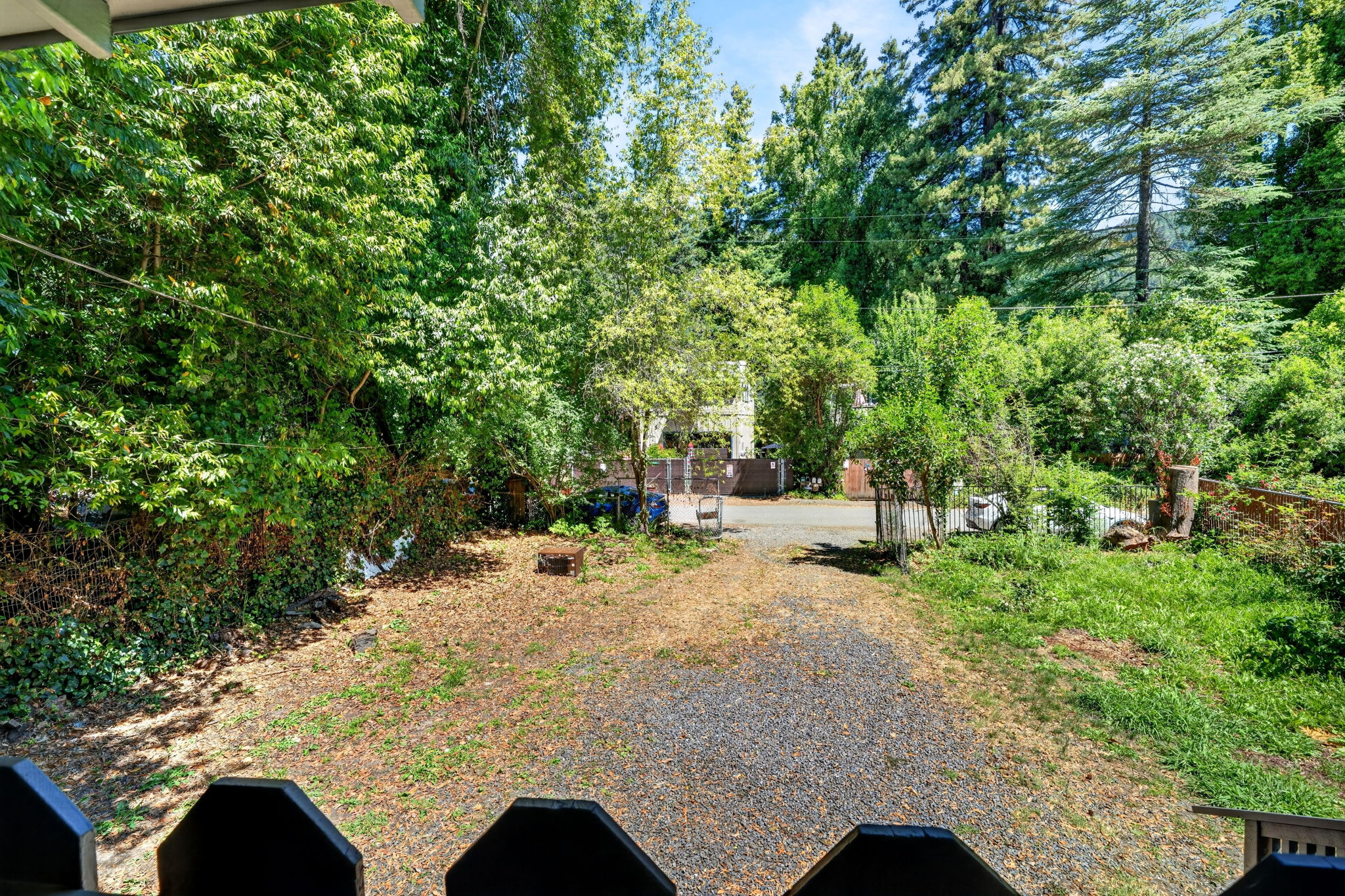 The front yard with ample parking.