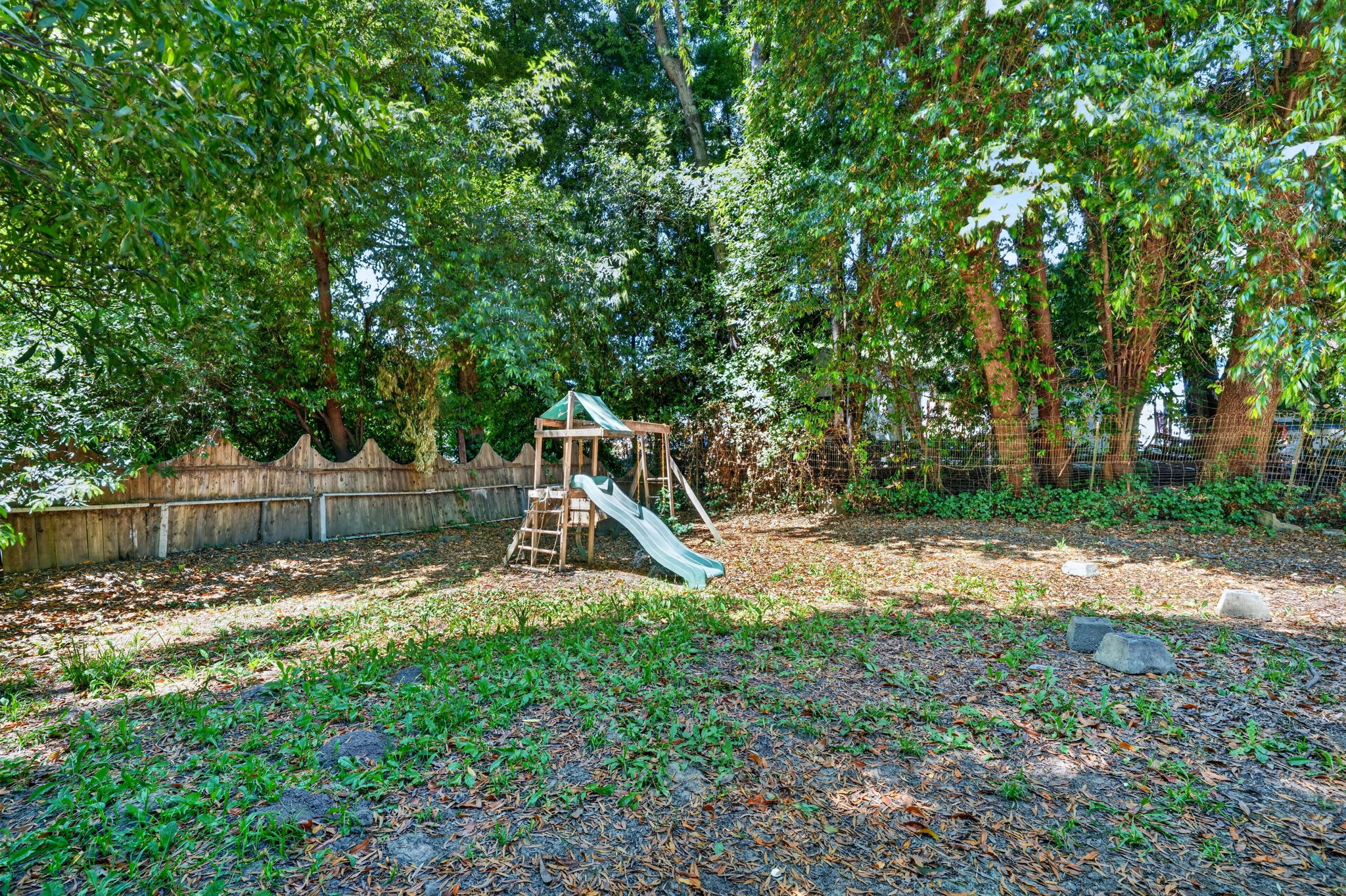 The backyard.