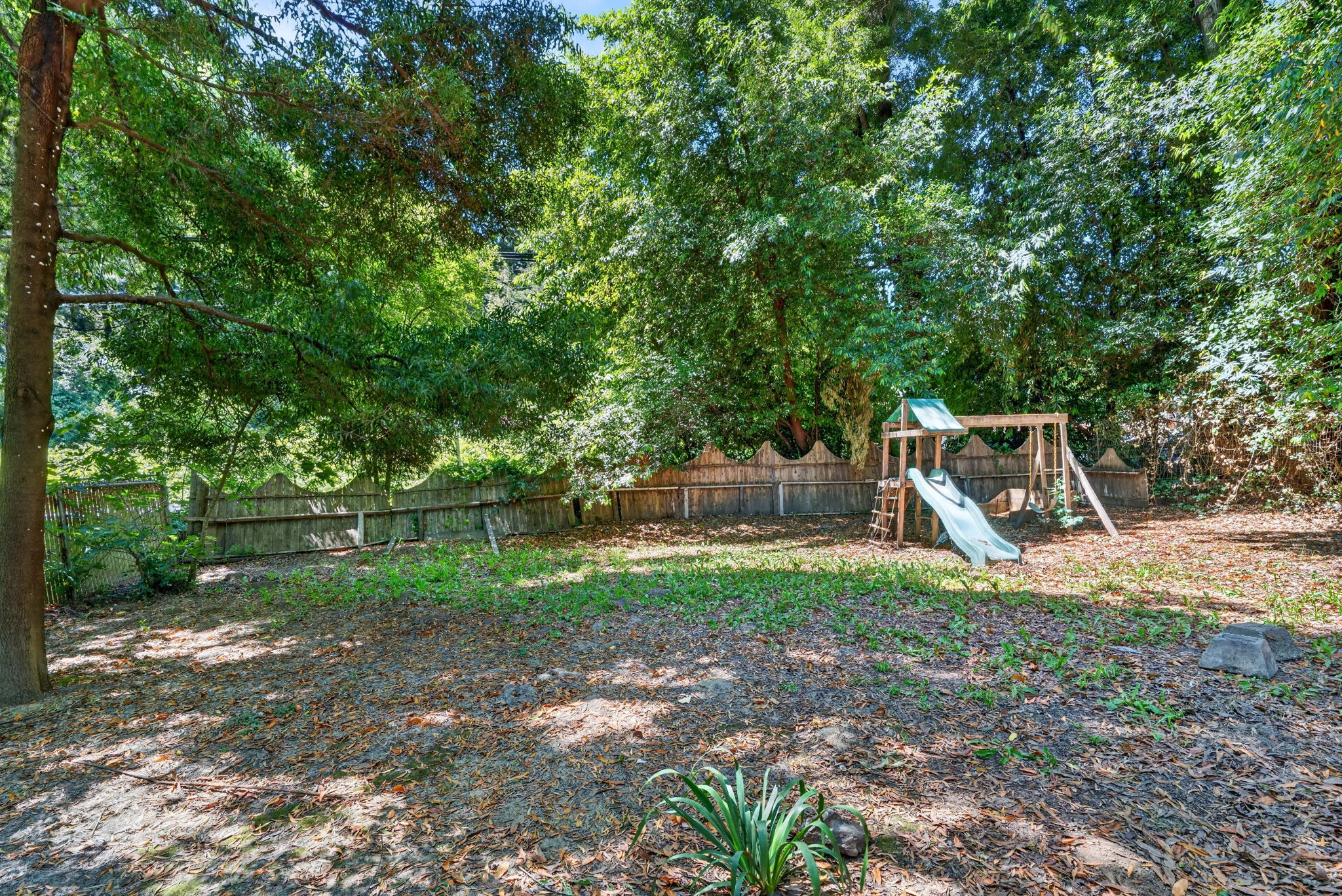 The backyard.