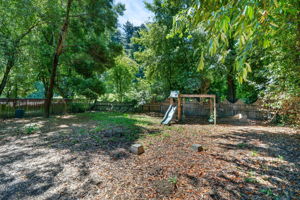 The backyard.