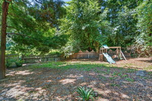 The backyard.