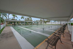 Shuffleboard
