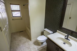 Lower Level Bathroom