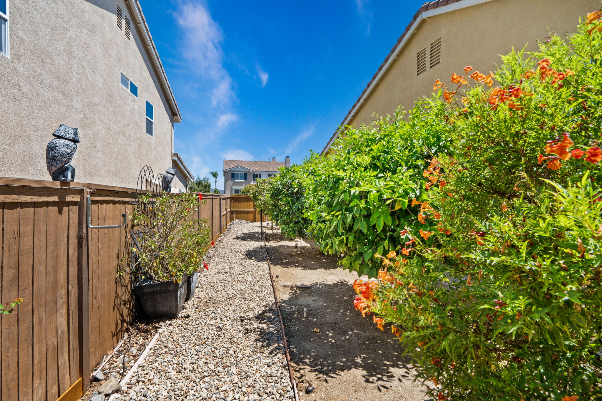10540 Pinion Trail-89