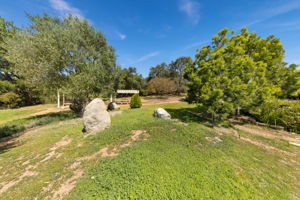 Hidden Meadows Stock-2