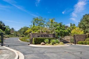 10540 Pinion Trail-109