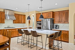 10540 Pinion Trail-47