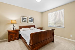 10540 Pinion Trail-20
