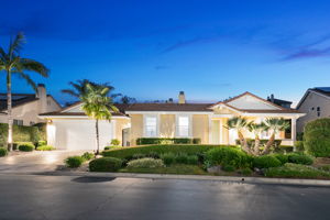 10540 Pinion Trail-271