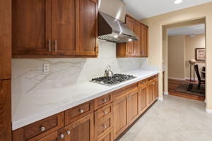 10540 Pinion Trail-231