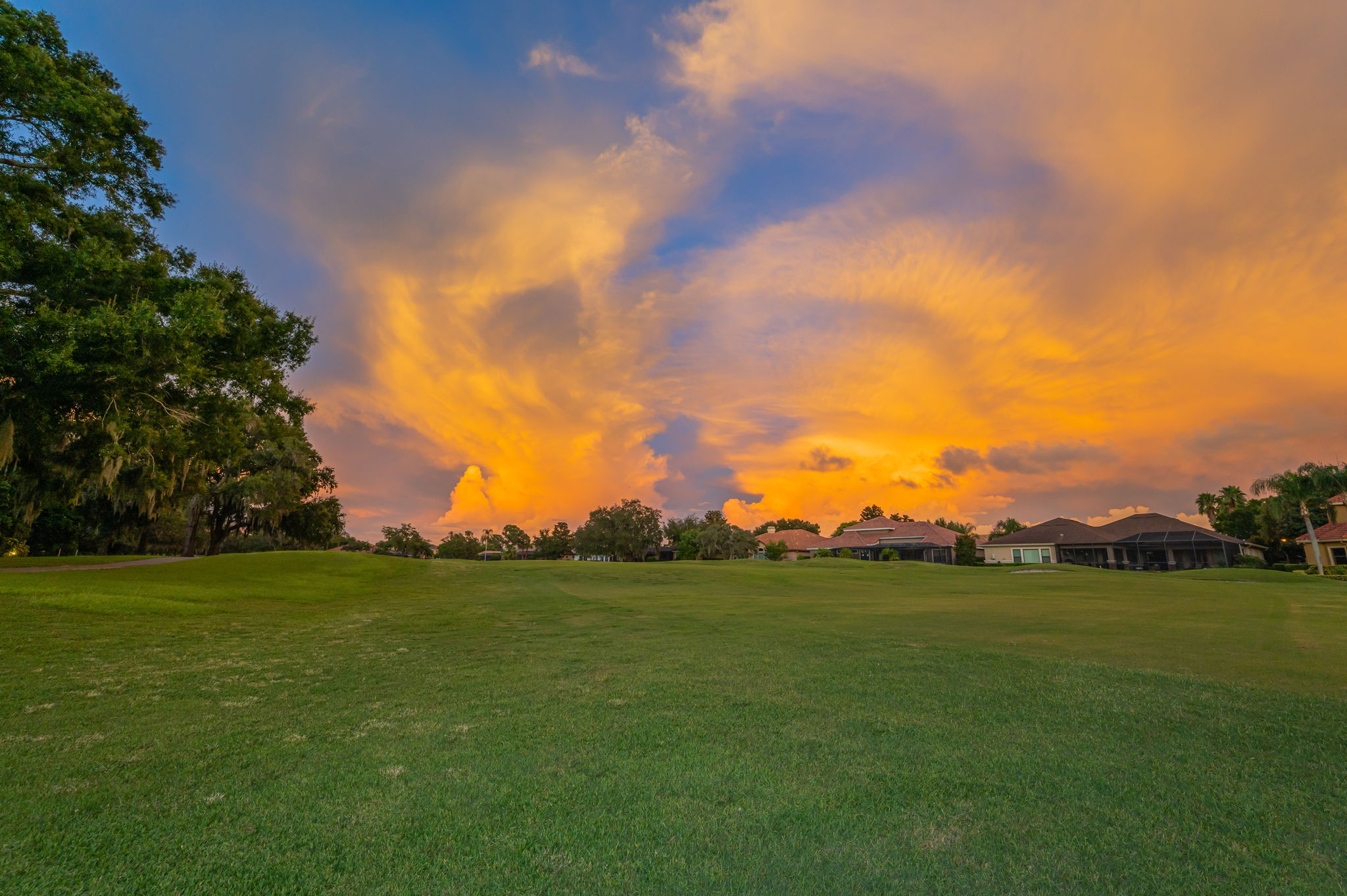 Backyard24
