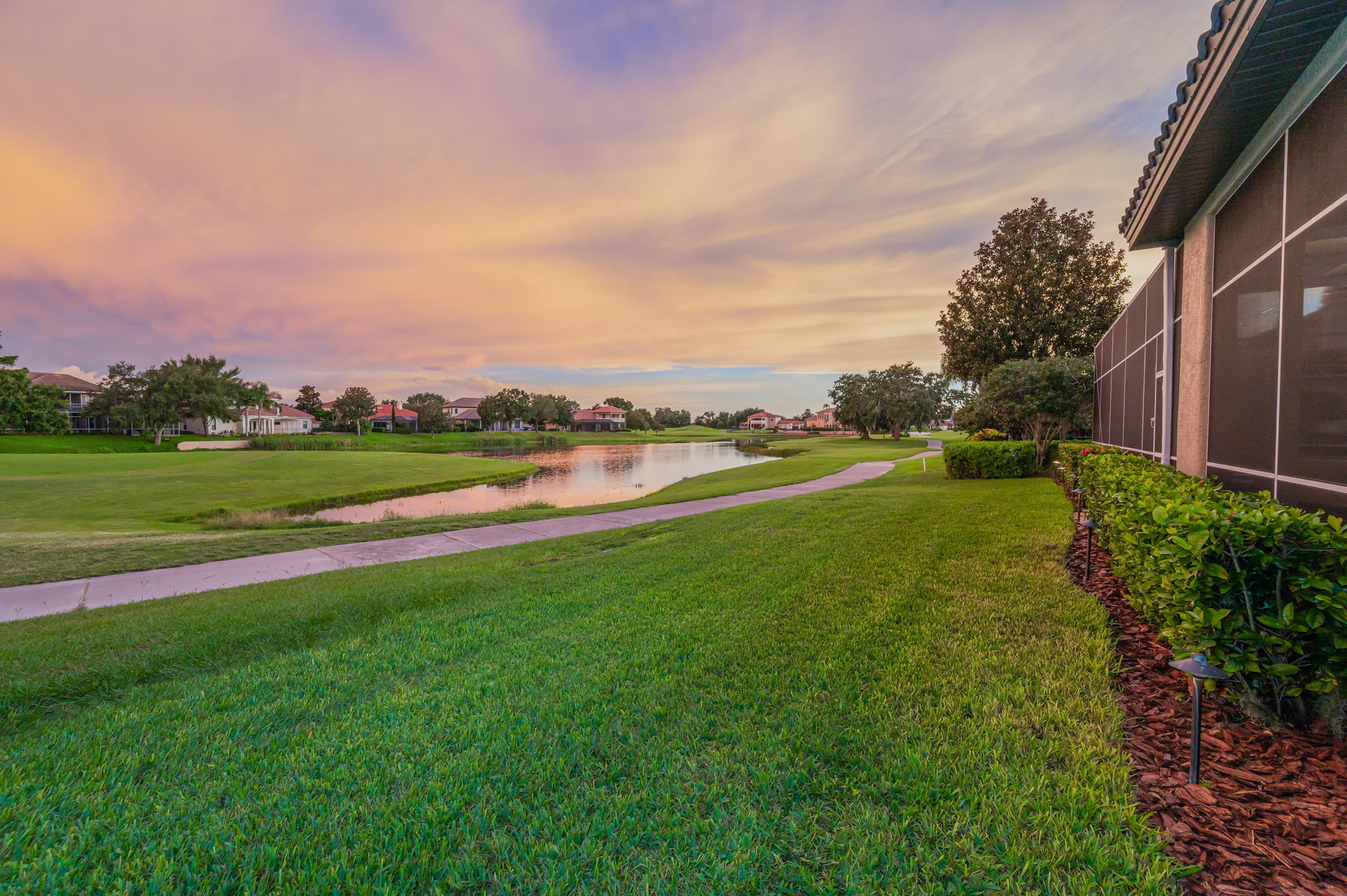 Backyard26