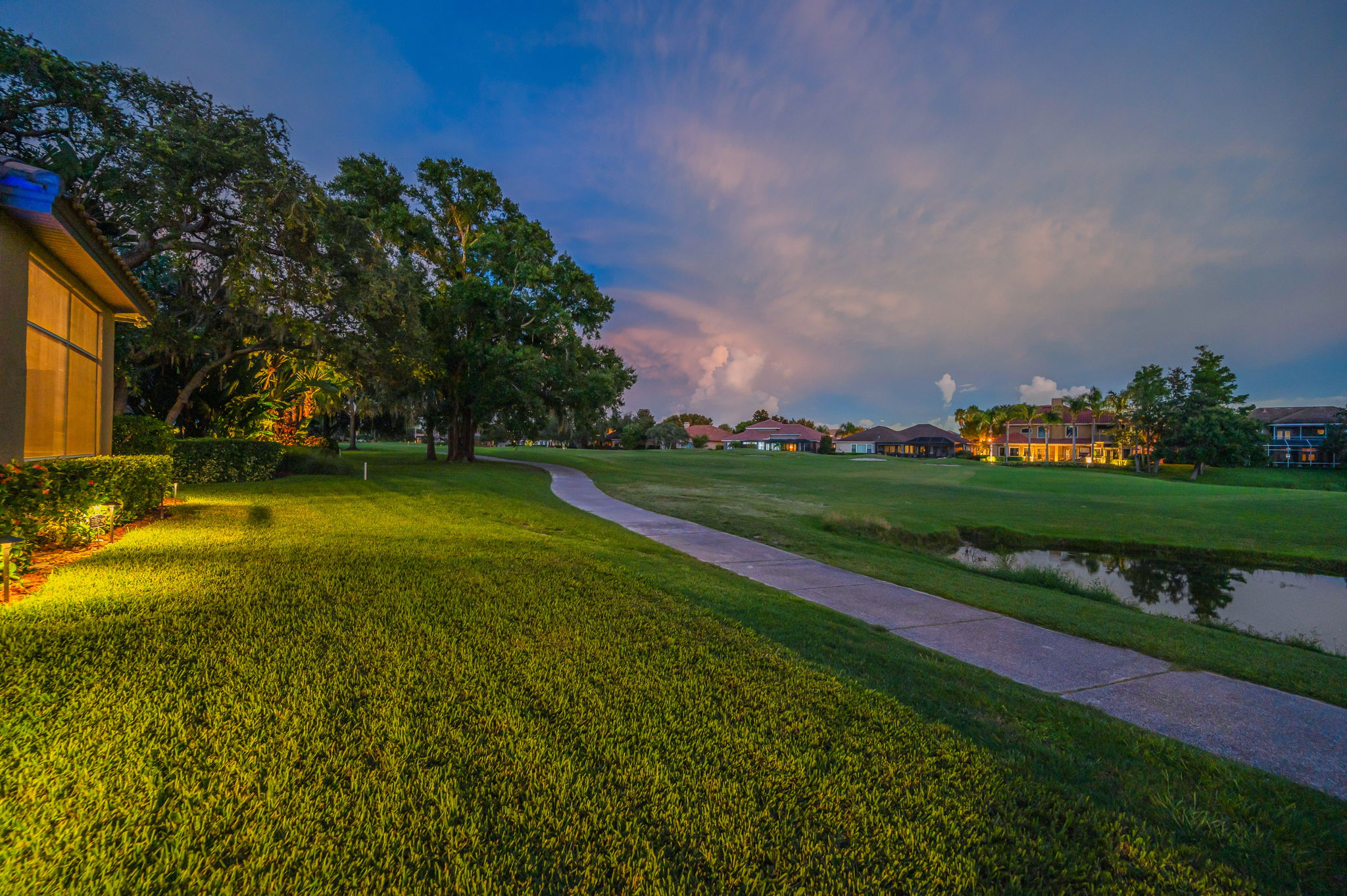 Backyard56