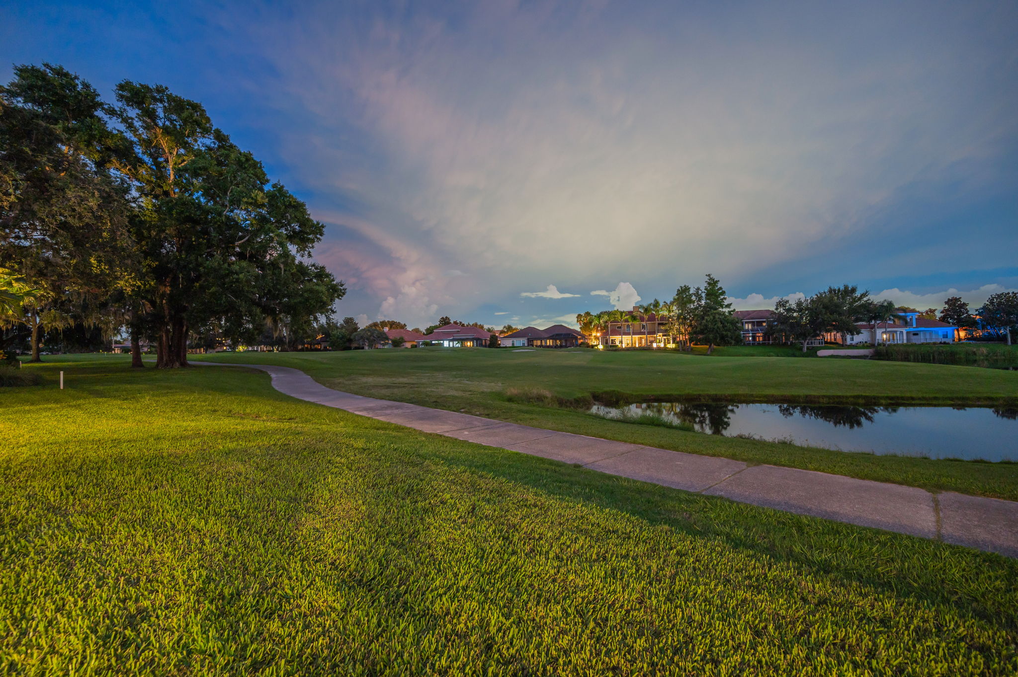 Backyard58