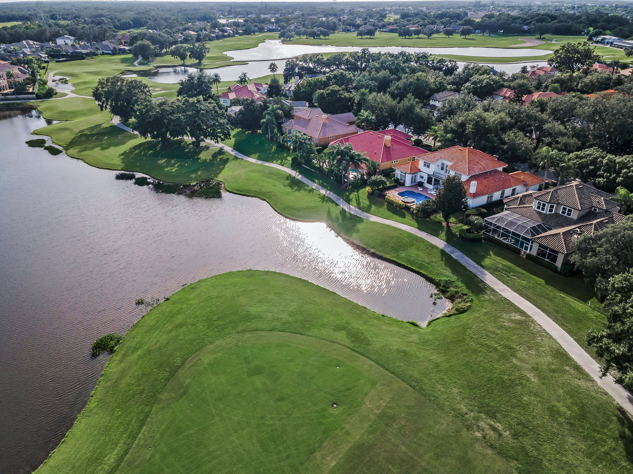 Aerial (15)