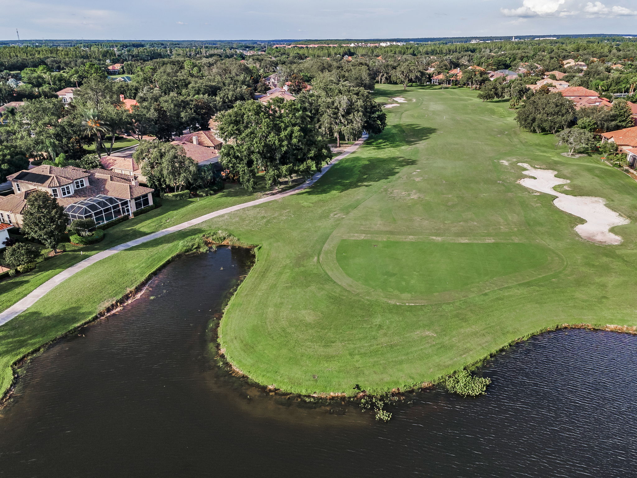 Aerial (16)