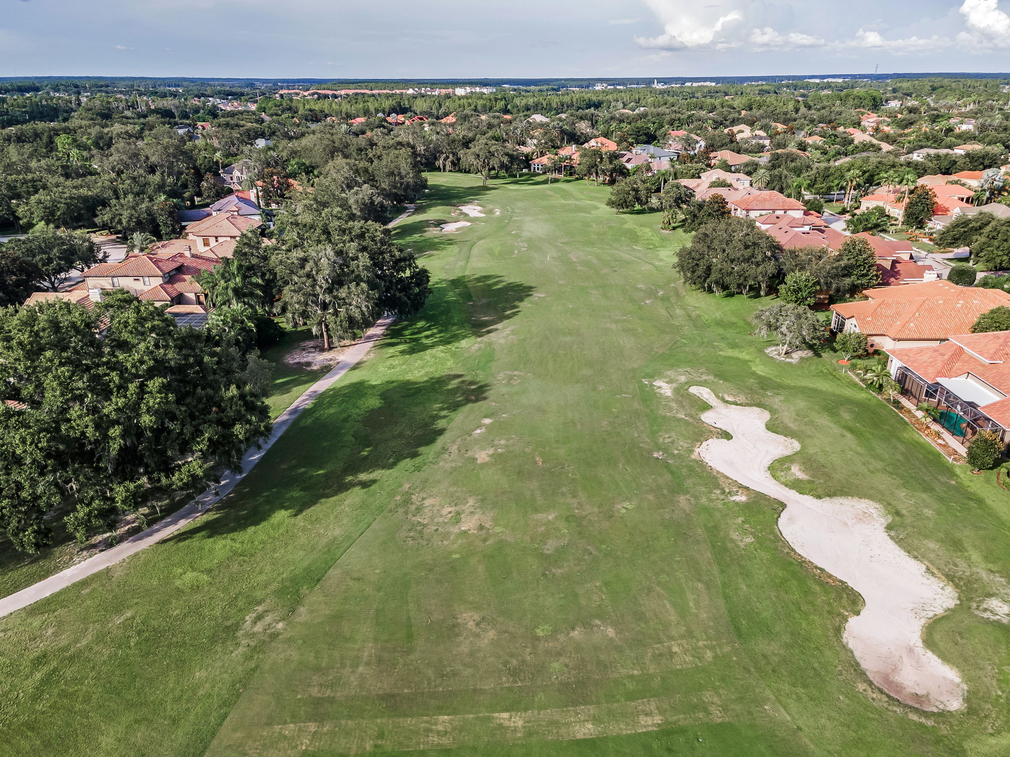 Aerial (17)