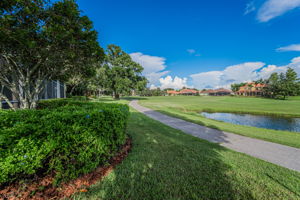 Backyard2