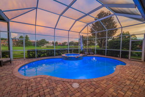 Backyard30