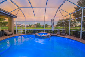 Backyard31